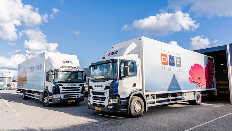 projecten kwekerijdezuidplas 2 WeArtDesign
